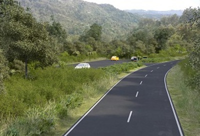 Waitakere Heritage Area Road With Cars 294