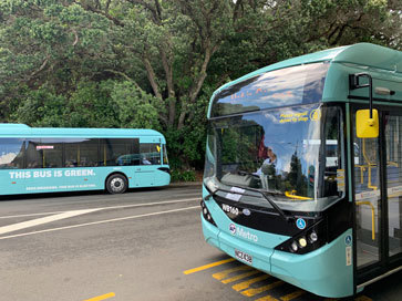 A photograph of a pair of new, electric Waiheke Island buses parked on a road.