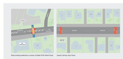 Raised pedestrian crossing on Mt Albert Road and speed calming on Hayr Road