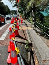 Photo showing a slip on a footpath in Titirangi Village