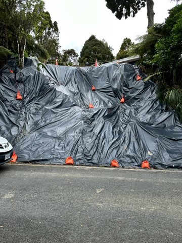 A photo of a slip on private land in Titirangi