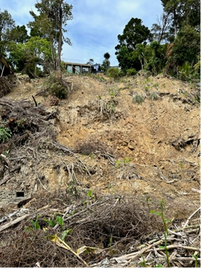 Image showing a landslide on private land in Titirangi