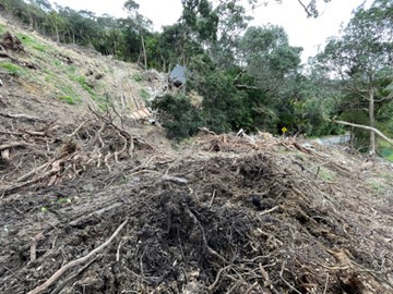 Image showing an overslip in Muriwai