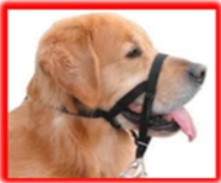 Unapproved muzzle