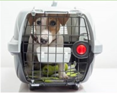 Approved Carrier 1