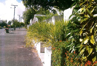 Encroaching Planters 294