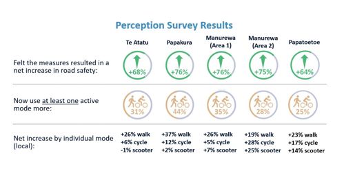 Infographic of survey results.