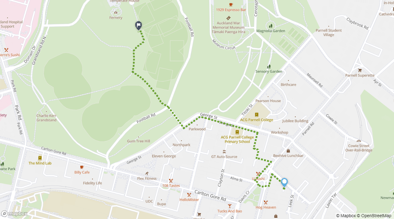 Newmarket to Auckland Domain walking journey map