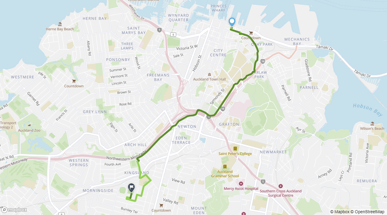 Zoomed out map of cycle route from Britomart to Eden Park.