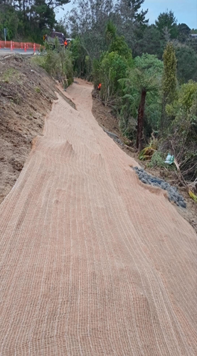 Coconut matting covers the area that was cleared. This was to enable access to install the new drainage in this area.