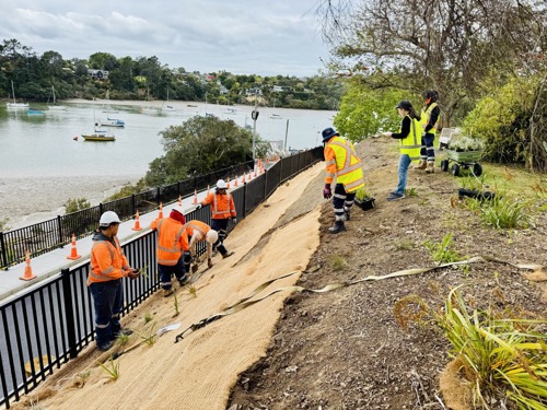 Planting underway in October with local environmental group, Fulton Hogans Community Outreach Programme. Plants supplied by Paremoremo Prison.
