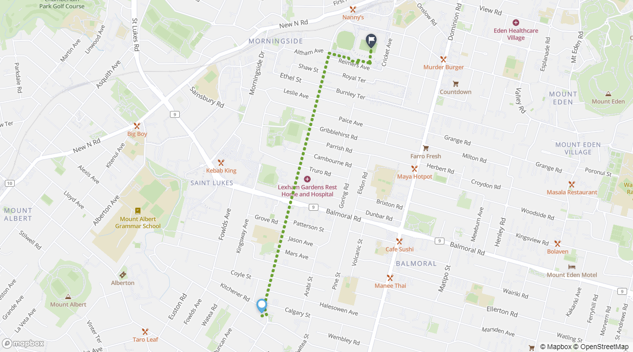 Map of walking route from Sandringham to Eden Park.